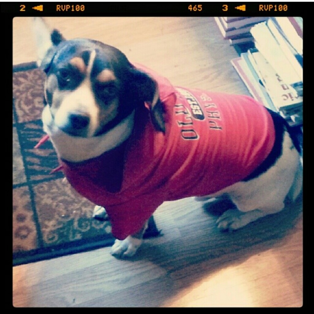 Old Navy dog hoodie